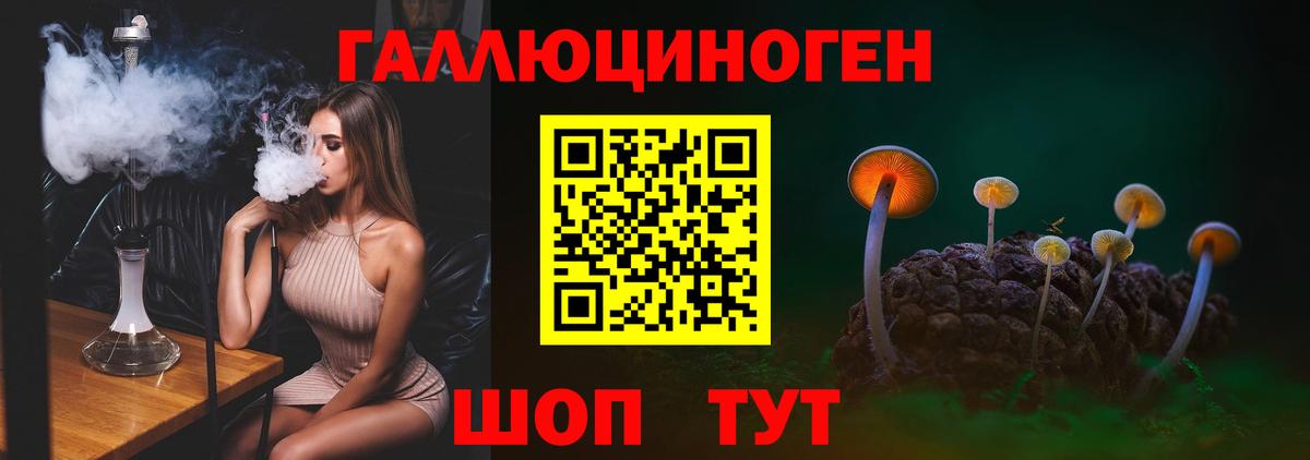 Псилоцибиновые грибы прущие грибы Нерюнгри